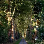 Couette-café Chateau Le Quesnoy 3*