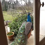 Couette-café Chateau Le Quesnoy