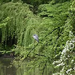 Chateau Le Quesnoy 3* Chevrieres (Oise)