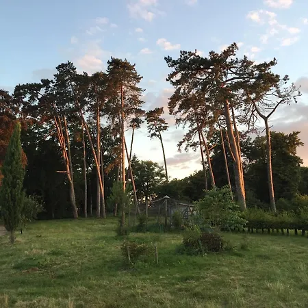 勒凯努瓦庄园住宿加早餐旅馆 3* Chevrieres (Oise)