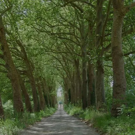 勒凯努瓦庄园住宿加早餐旅馆