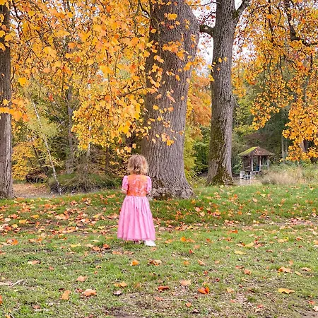 Couette-café Chateau Le Quesnoy