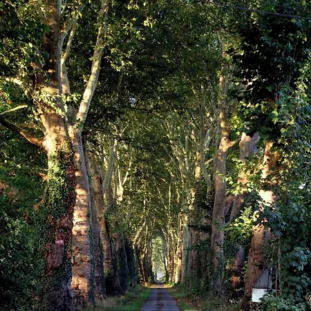 Frühstückspension Chateau Le Quesnoy