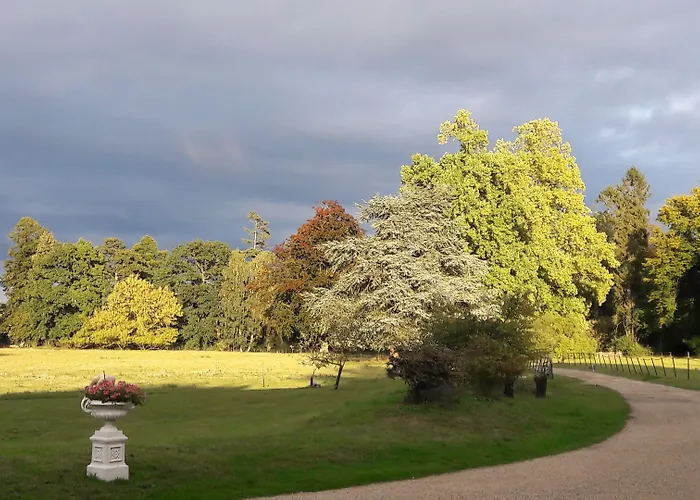 Chateau Le Quesnoy Couette-café
